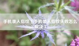 手机录入指纹（手机录入指纹失败怎么解决）