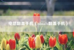 电信翻盖手机（cdma1x翻盖手机）