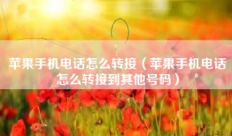 苹果手机电话怎么转接（苹果手机电话怎么转接到其他号码）