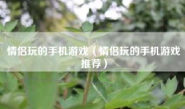 情侣玩的手机游戏（情侣玩的手机游戏推荐）