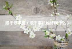 顺丰修手机（顺丰手机维修叫什么）