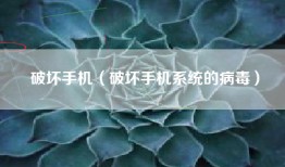 破坏手机（破坏手机系统的病毒）