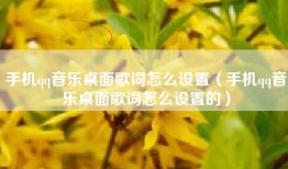 手机qq音乐桌面歌词怎么设置（手机qq音乐桌面歌词怎么设置的）