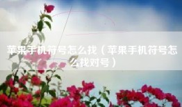 苹果手机符号怎么找（苹果手机符号怎么找对号）