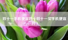 双十一手机便宜吗（双十一买手机便宜吗）