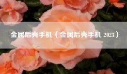 金属后壳手机（金属后壳手机 2023）