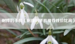 耐摔的手机（耐摔的手机推荐性价比高）