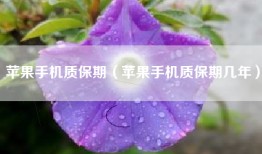 苹果手机质保期（苹果手机质保期几年）