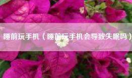 睡前玩手机（睡前玩手机会导致失眠吗）
