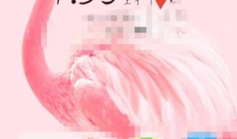 荣耀Magic5 至臻版怎么截屏荣耀手机怎样截屏「荣耀Magic5 至臻版怎么截屏」