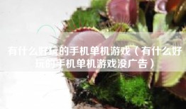 有什么好玩的手机单机游戏（有什么好玩的手机单机游戏没广告）