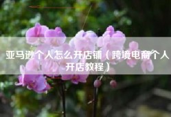 亚马逊个人怎么开店铺（跨境电商个人开店教程）