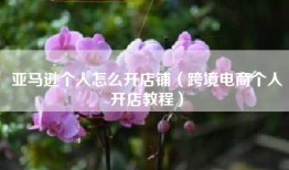 亚马逊个人怎么开店铺（跨境电商个人开店教程）