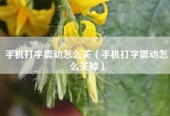 手机打字震动怎么关（手机打字震动怎么关掉）