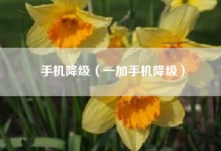 手机降级（一加手机降级）