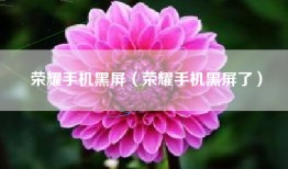 荣耀手机黑屏（荣耀手机黑屏了）