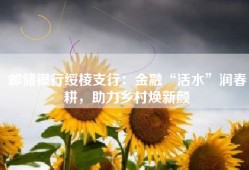 邮储银行绥棱支行：金融“活水”润春耕，助力乡村焕新颜