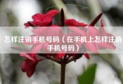 怎样注销手机号码（在手机上怎样注销手机号码）