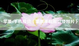 苹果4手机报价（苹果手机报价及图片）