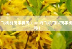 飞机能玩手机吗（2021年飞机可以玩手机吗）