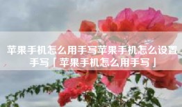 苹果手机怎么用手写苹果手机怎么设置手写「苹果手机怎么用手写」