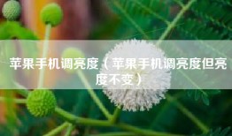 苹果手机调亮度（苹果手机调亮度但亮度不变）