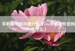 手机账号密码是什么（vivo手机账号密码是什么）