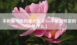 手机账号密码是什么（vivo手机账号密码是什么）