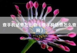 查手机话费怎么查（查手机话费怎么查询）