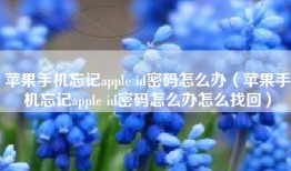 苹果手机忘记apple id密码怎么办（苹果手机忘记apple id密码怎么办怎么找回）