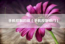 手机控制的锁（手机控制锁门）