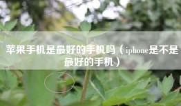 苹果手机是最好的手机吗（iphone是不是最好的手机）
