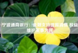 宁波通商银行：金融支持提振消费 权益维护实事为民