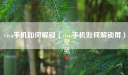 vivo手机如何解锁（vivo手机如何解锁屏）