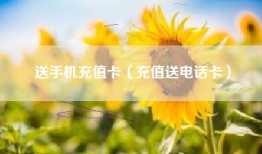 送手机充值卡（充值送电话卡）