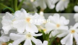 本手机型号