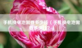 手机换电池需要多少钱（手机换电池需要多少钱？）
