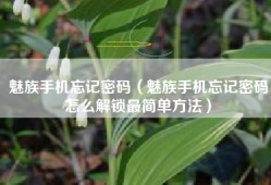 魅族手机忘记密码（魅族手机忘记密码怎么解锁最简单方法）