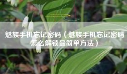 魅族手机忘记密码（魅族手机忘记密码怎么解锁最简单方法）