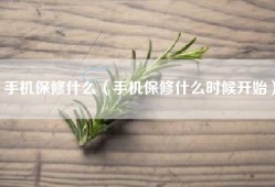 手机保修什么（手机保修什么时候开始）