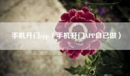 手机开门app（手机开门APP自己做）