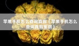 苹果手机怎么查询真假（苹果手机怎么查询真假鉴别）