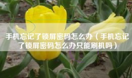手机忘记了锁屏密码怎么办（手机忘记了锁屏密码怎么办只能刷机吗）