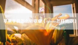 苹果手机怎么听歌曲（iphone怎样听歌）