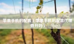 苹果手机的配置（苹果手机的配置代理要开吗）