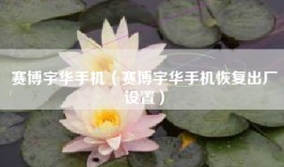 赛博宇华手机（赛博宇华手机恢复出厂设置）
