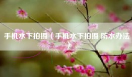 手机水下拍摄（手机水下拍摄 防水办法）