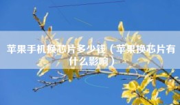 苹果手机换芯片多少钱（苹果换芯片有什么影响）