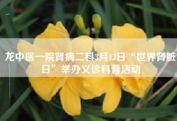 龙中医一院肾病二科3月13日“世界肾脏日”举办义诊科普活动
