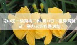 龙中医一院肾病二科3月13日“世界肾脏日”举办义诊科普活动